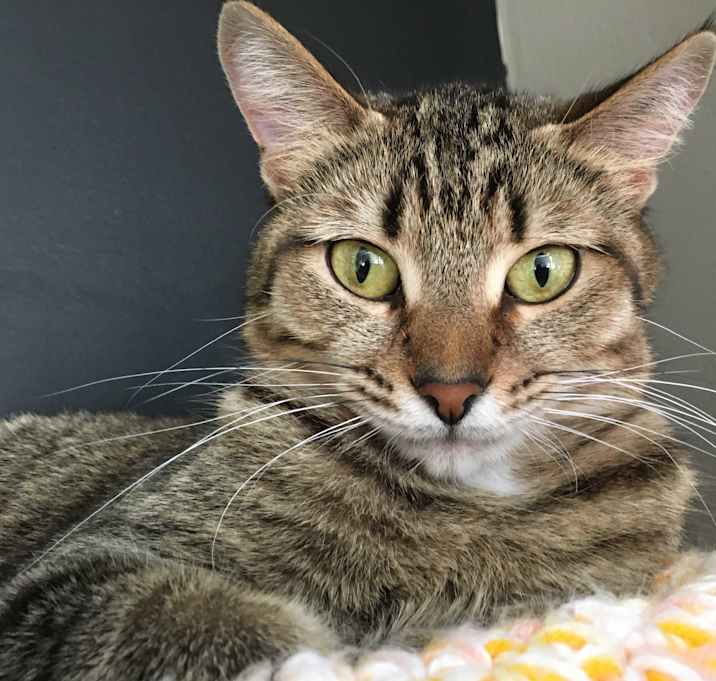 Photo of Darby
