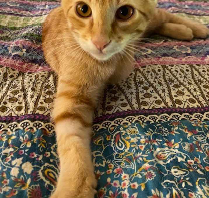 Photo of Dude