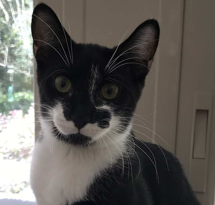 Photo of Fritz