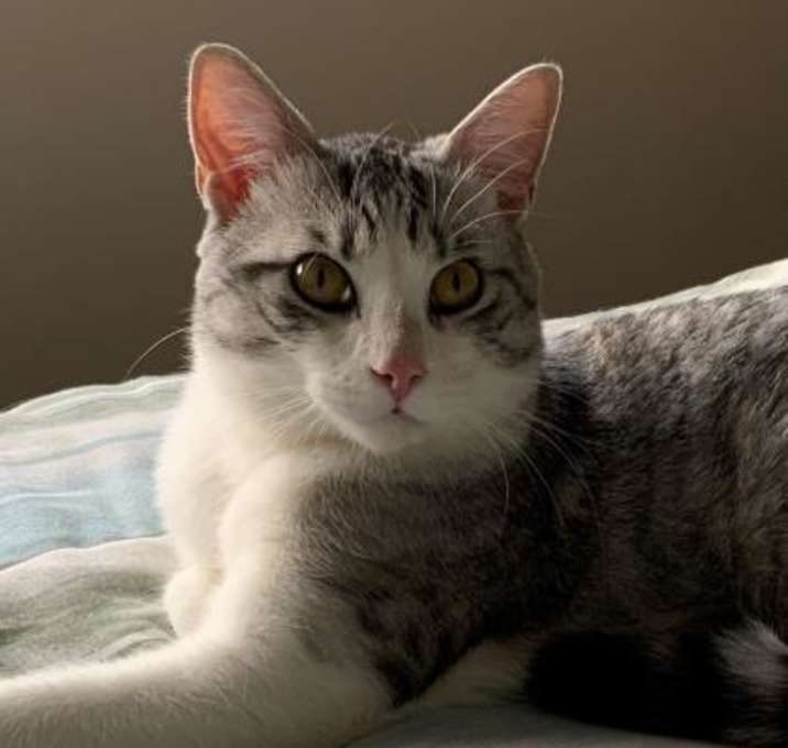 Photo of Ghost