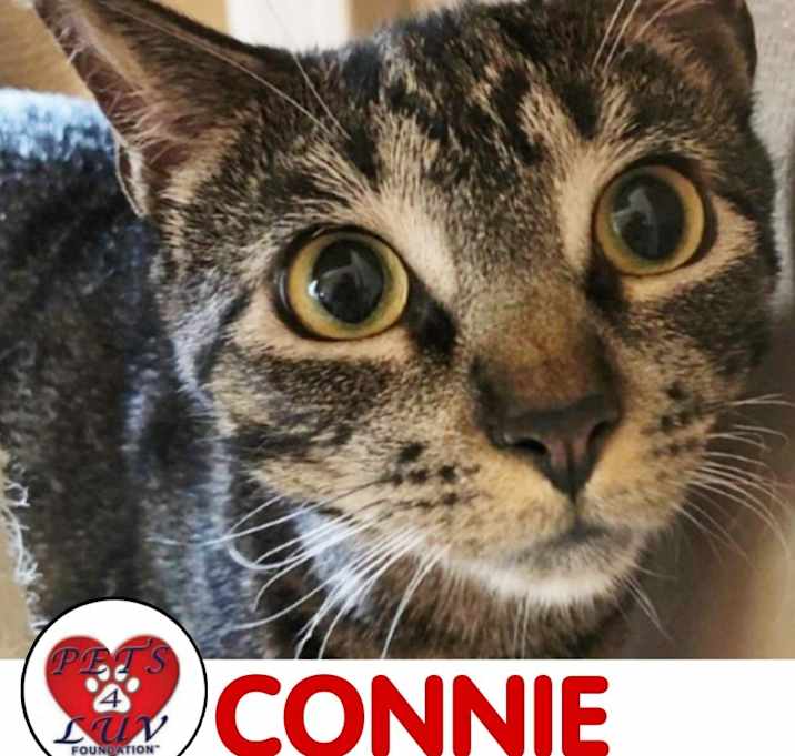 Photo of Connie