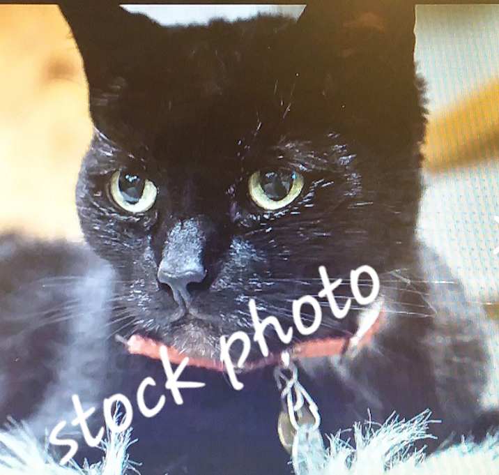 Photo of Hershey