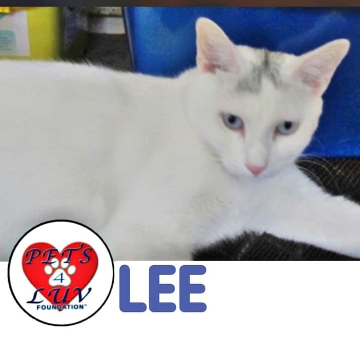 Photo of Lee