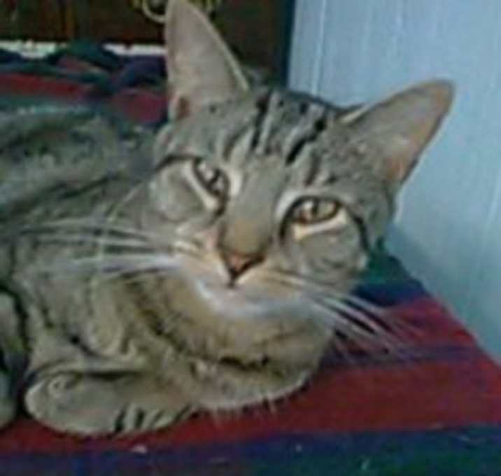 Photo of Raymond