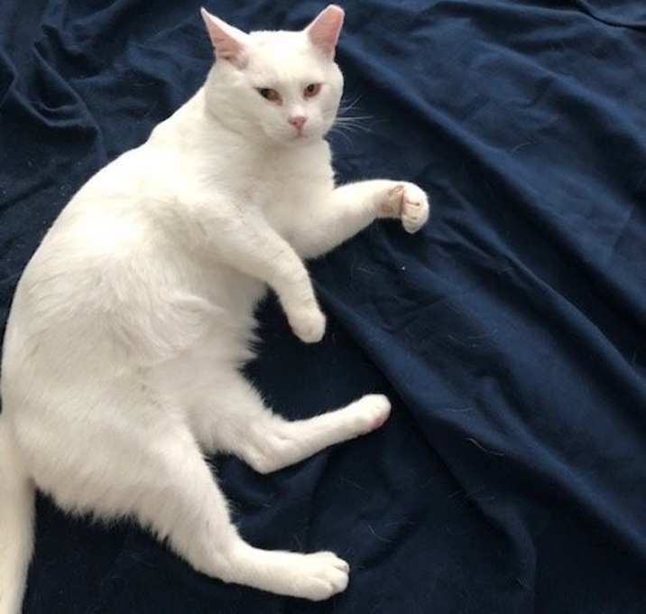 Photo of Todd