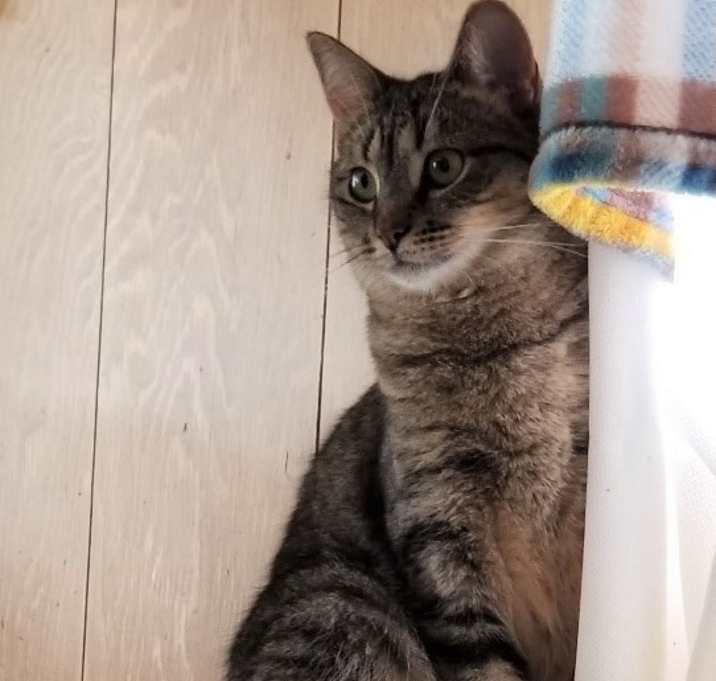 Photo of Chrissy