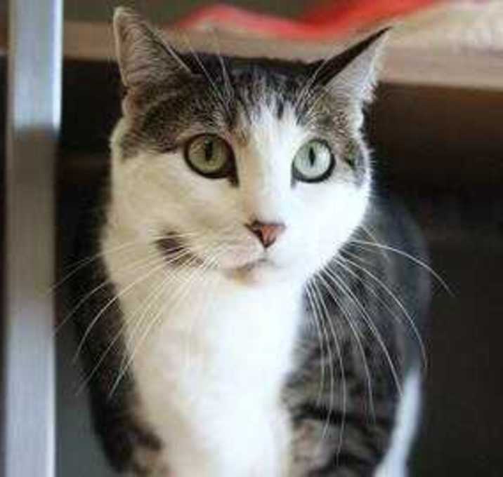 Photo of Lily