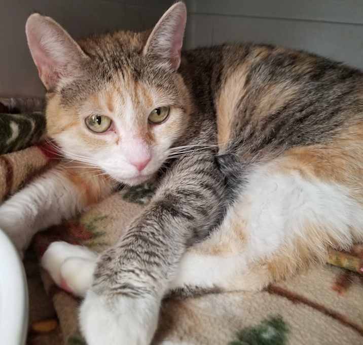 Photo of Francine