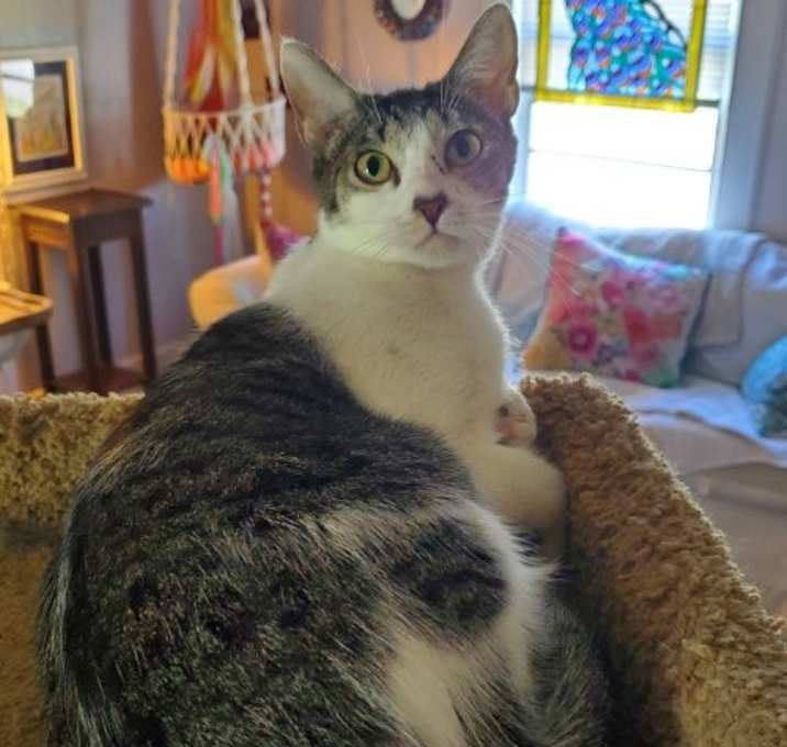 Photo of Martha