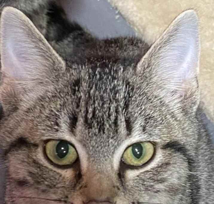 Photo of Gina