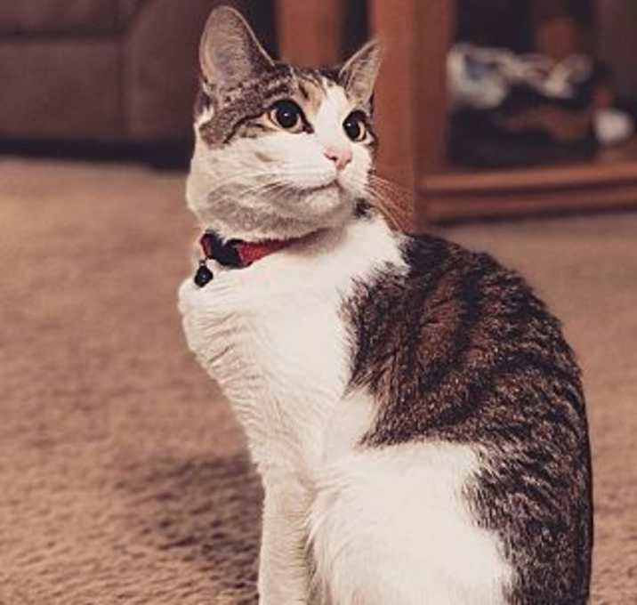 Photo of ROSITA