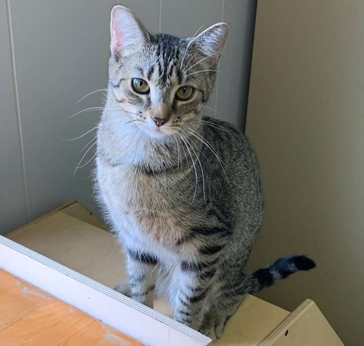 Photo of Eloise