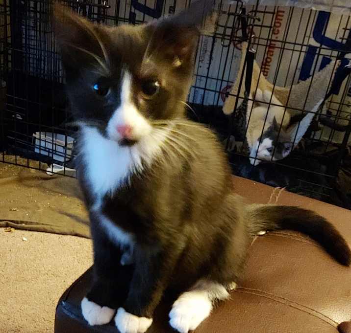 Photo of Lily
