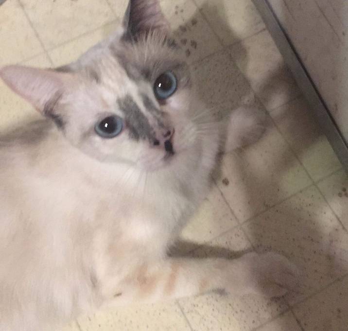 Photo of Elsa