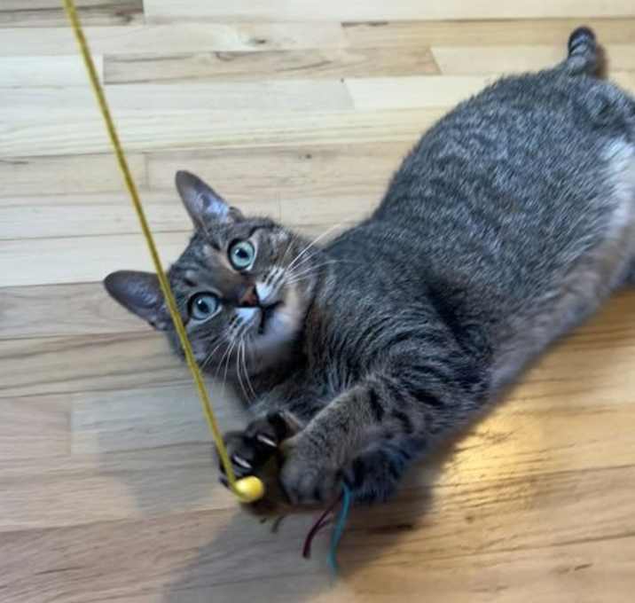 Photo of Linus