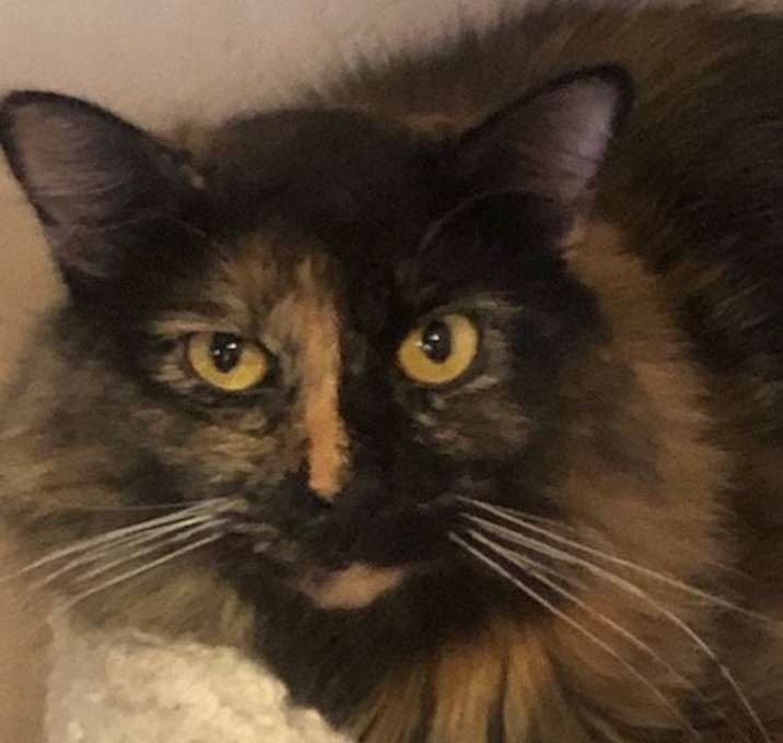 Photo of KIMMI