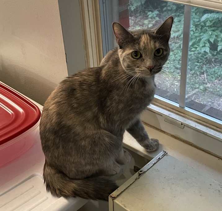 Photo of Sophie