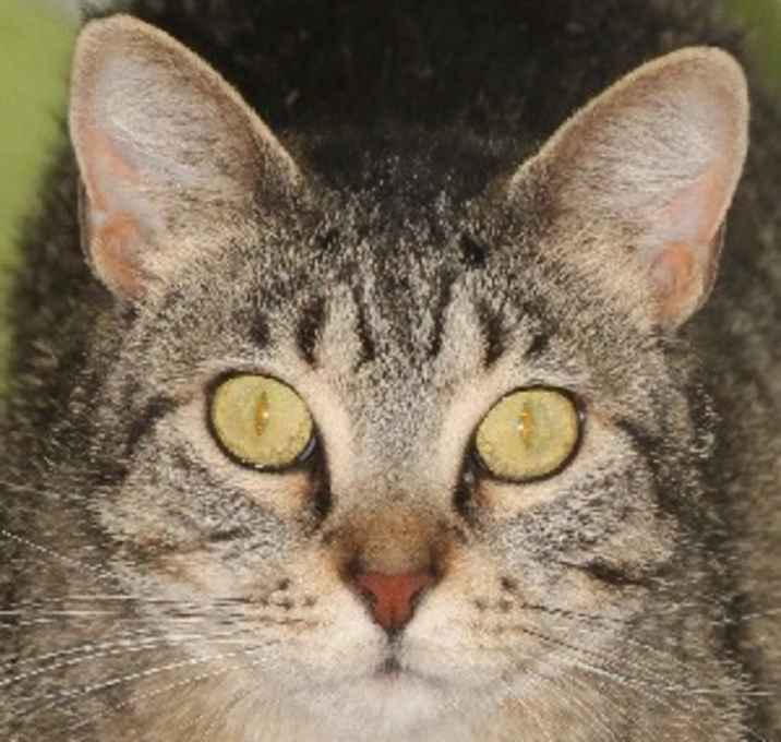 Photo of Nora