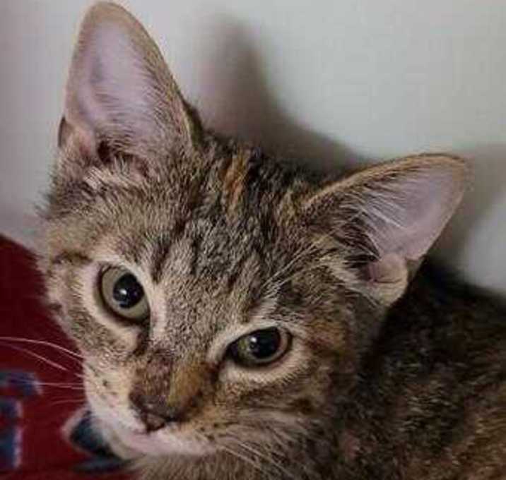 Photo of Harper