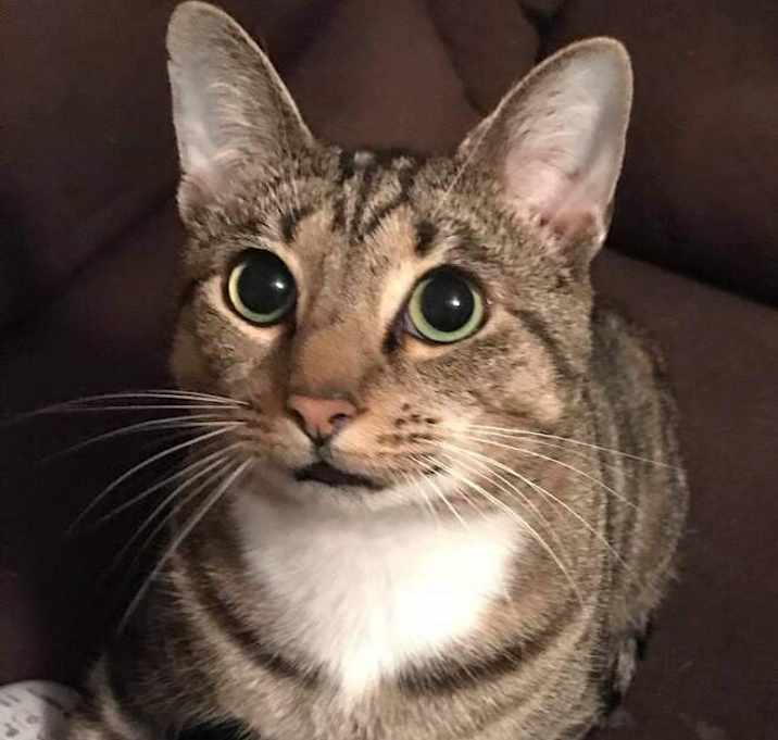 Photo of Walter