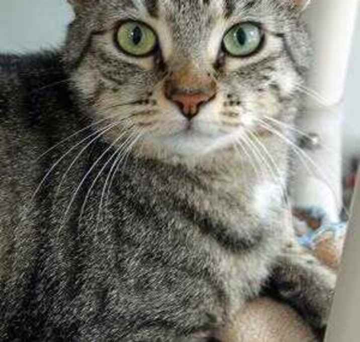 Photo of Josey