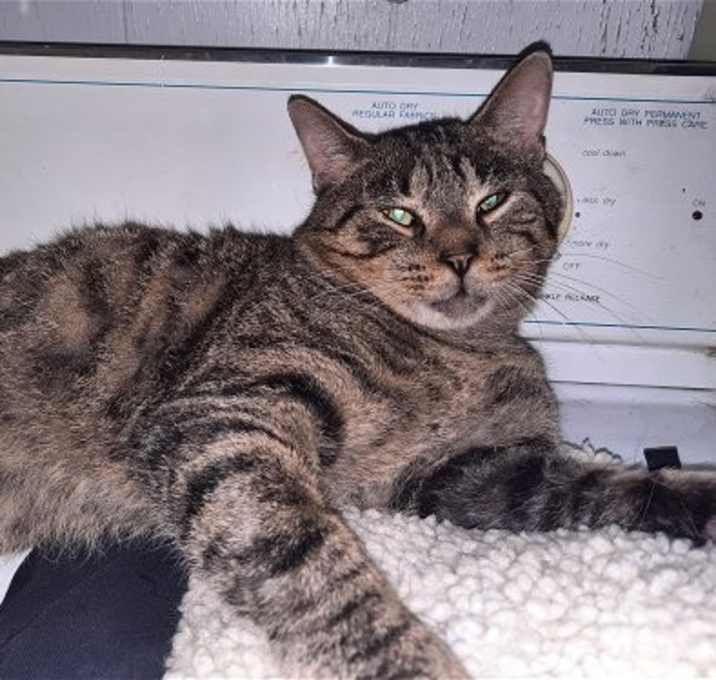 Photo of Boris