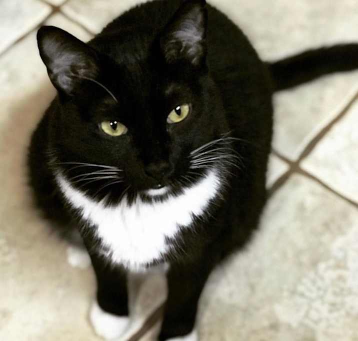 Photo of Bernard