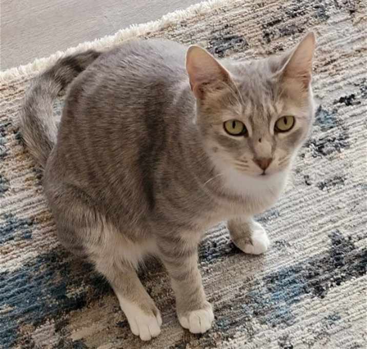 Photo of Peaches (Napa HM)