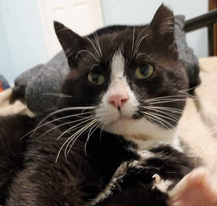 Photo of Gordon