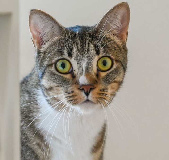 Photo of Gretchen