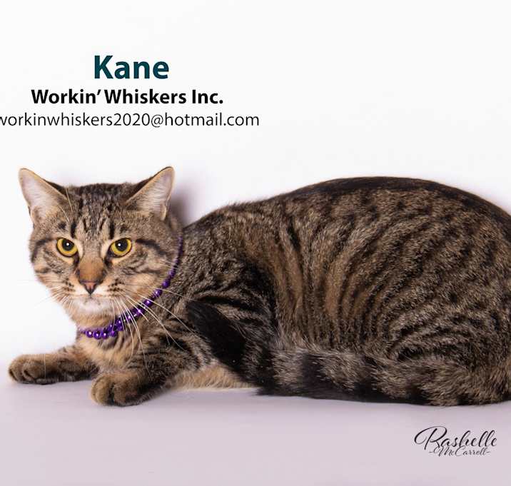 Photo of KANE