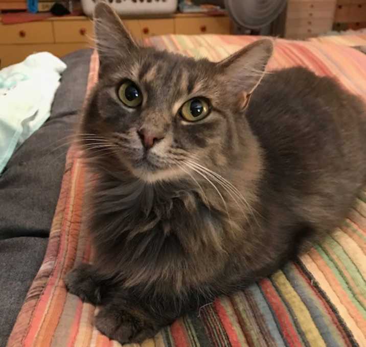 Photo of JOLENE