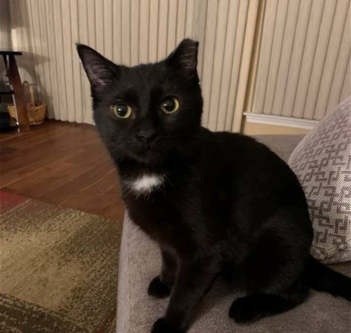 Photo of Mercury