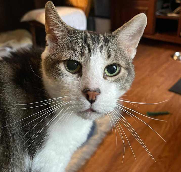 Photo of BIG BOY