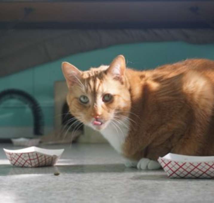 Photo of Julius
