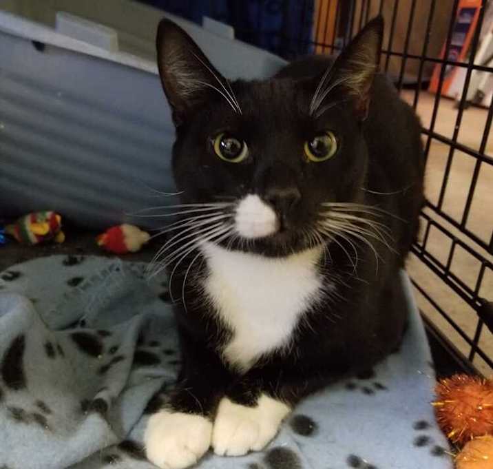 Photo of Darius