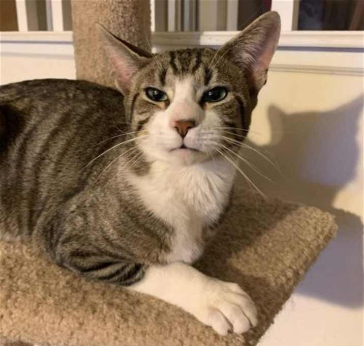 Photo of Stanley