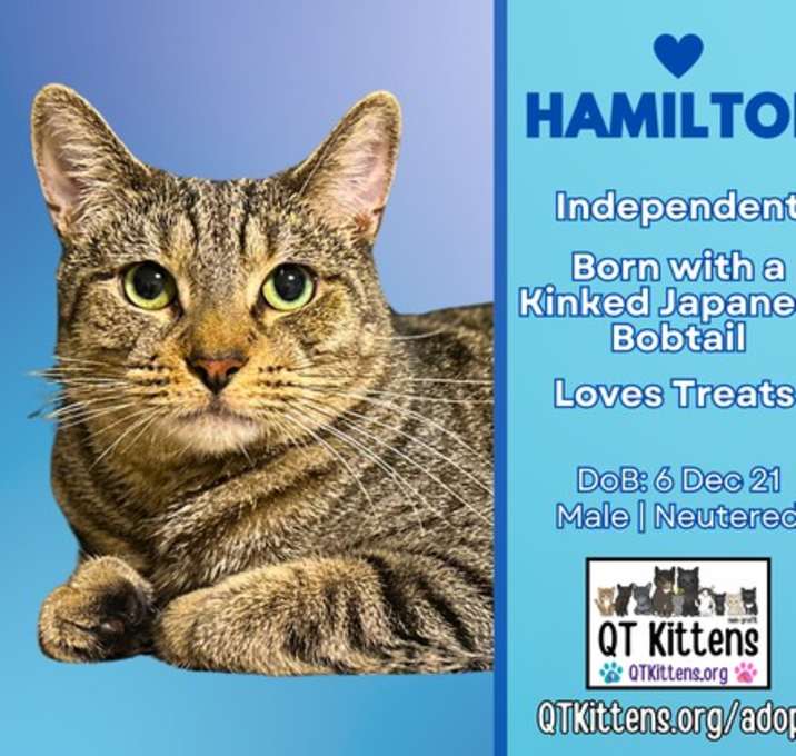 Photo of Hamilton