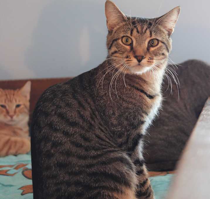 Photo of Didi