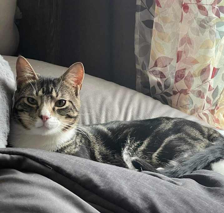 Photo of Ren