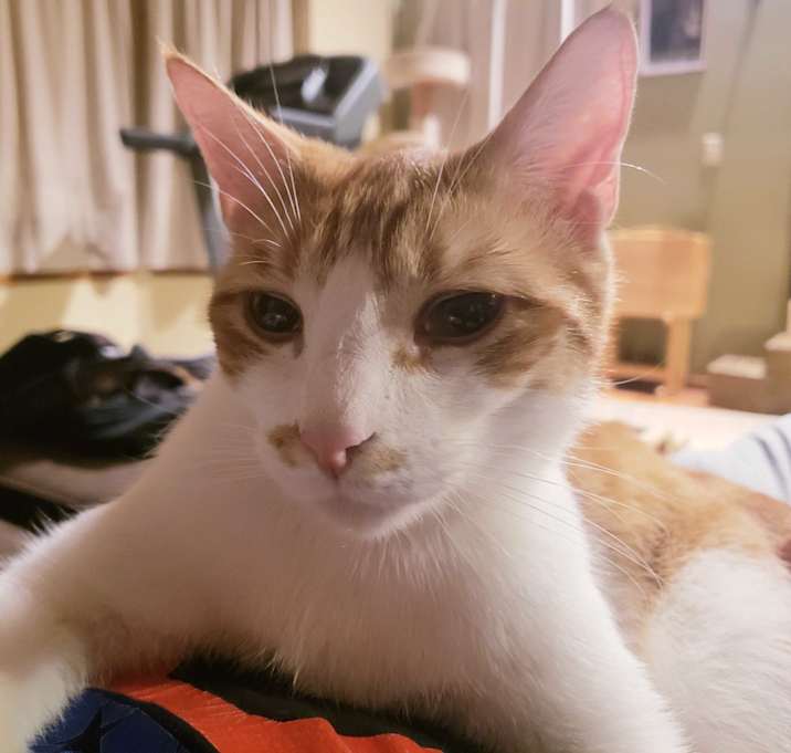 Photo of Jack