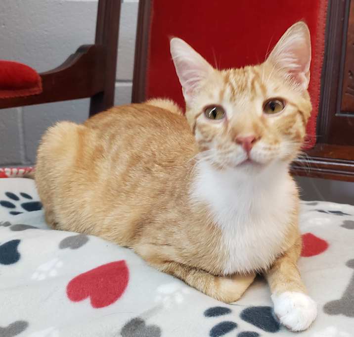 Photo of Jasper