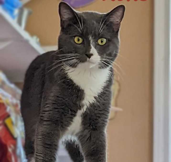 Photo of Reno