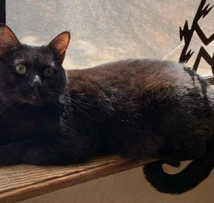 Photo of Kristine's Nikki