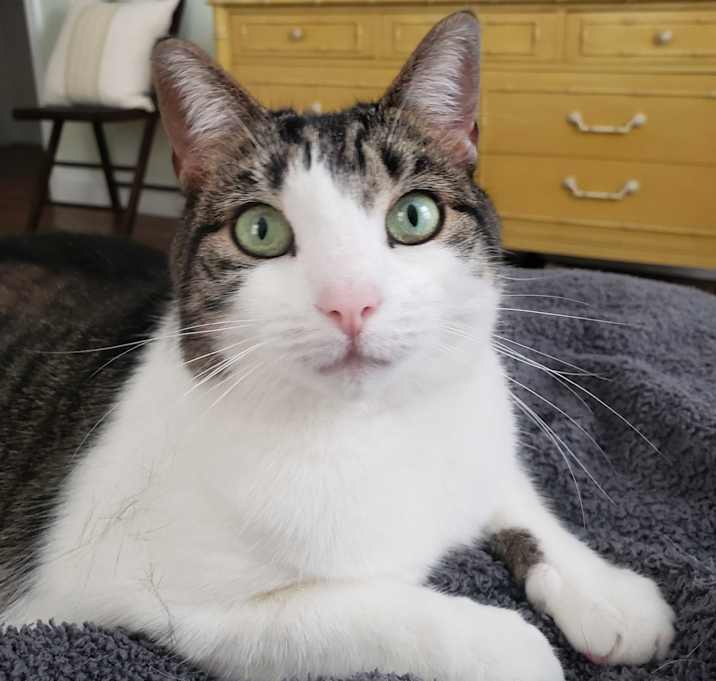 Photo of Margo Elizabeth
