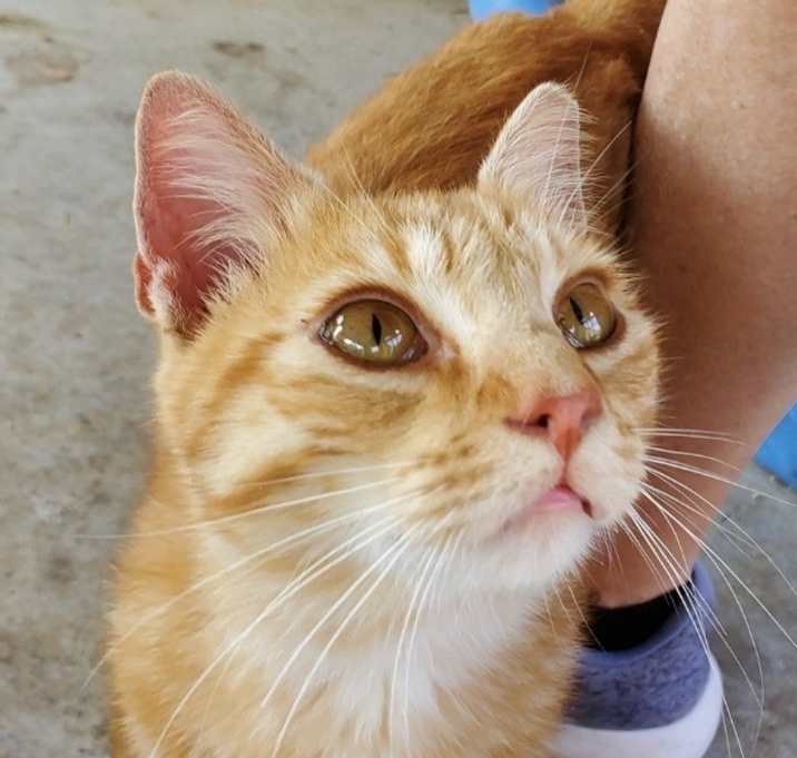 Photo of Babs