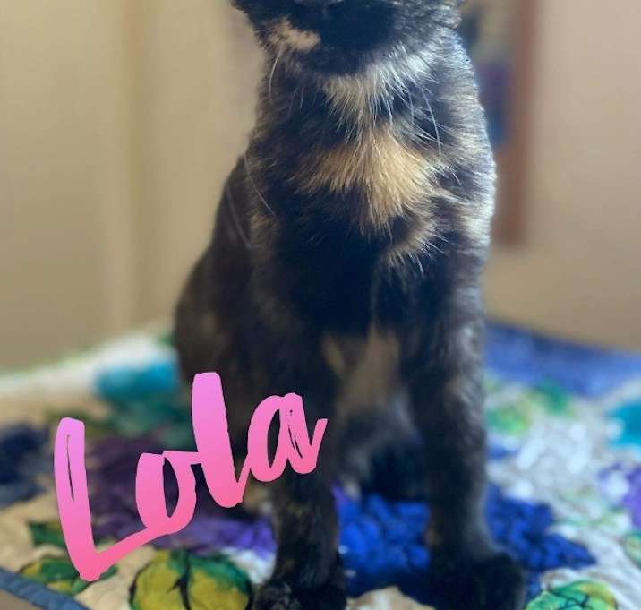 Photo of Lola