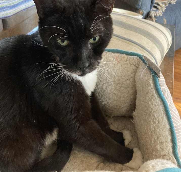 Photo of Reginald