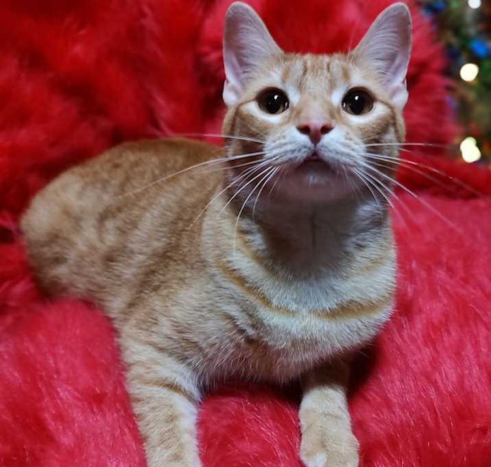 Photo of Lily