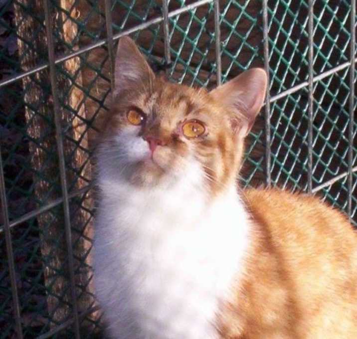 Photo of Little Gilr (sweet talker)